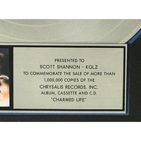 Billy Idol Charmed Life RIAA Platinum Album Award - Record Award