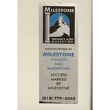 Billy Idol Greatest Hits RIAA Gold Album Award - Record Award