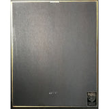 Billy Joel Greatest Hits Vol. 3 RIAA Platinum Album Award - Record Award