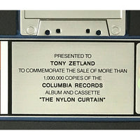 Billy Joel The Nylon Curtain RIAA Platinum Album Award - Record Award