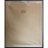 Blues Brothers Briefcase Full Of Blues RIAA Platinum Album Award - Record Award