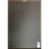 Blues Traveler four RIAA 5x Multi-Platinum Award - Record Award