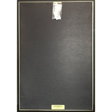 Bob Carlisle Butterfly Kisses (Shades Of Grace) RIAA 2x Multi-Platinum Album Award -NEW - Record Award