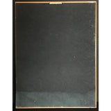 Bob Seger The Fire Inside RIAA Platinum Award - Record Award