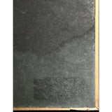 Bob Seger The Fire Inside RIAA Platinum Award - Record Award