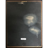 Boyz II Men Christmas Interpretations RIAA Platinum Album Award - Record Award