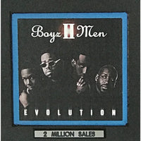 Boyz II Men Evolution RIAA 2x Multi-Platinum Album Award - Record Award