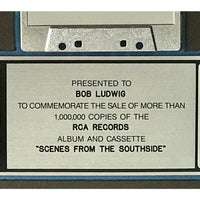 Bruce Hornsby & The Range Scenes From The Southside RIAA Platinum Album Award - Record Award