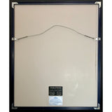 Bruce Springsteen Born In The USA Columbia Records 20M Award - Record Award