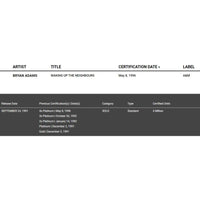 Bryan Adams Waking Up The Neighbours RIAA Platinum Album Award - Record