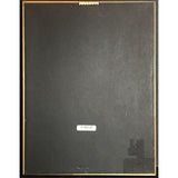 C + C Music Factory Gonna Make You Sweat RIAA 2x Multi-Platinum Album Award - Record Award