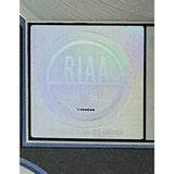 Celine Dion A New Day Has Come RIAA 2x Multi-Platinum Album Award - Record Award