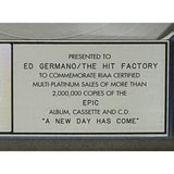 Celine Dion A New Day Has Come RIAA 2x Multi-Platinum Album Award - Record Award