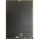 Celine Dion A New Day Has Come RIAA 2x Multi-Platinum Album Award - Record Award