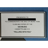 Celine Dion Falling Into You RIAA 10x Platinum Album Award - Record Award