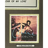 Celine Dion The Colour Of My Love RIAA 3x Multi-Platinum Album Award - Record Award