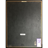 Changing Faces debut RIAA Gold Album Award - Record Award