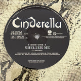 Cinderella ’Shelter Me’ 12’ Snakeskin Vinyl LE Import 1990 Poster - Media