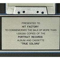 Cyndi Lauper True Colors RIAA Platinum Album Award - Record Award