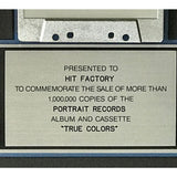 Cyndi Lauper True Colors RIAA Platinum Album Award - Record Award