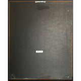 Cyndi Lauper True Colors RIAA Platinum Album Award - Record Award
