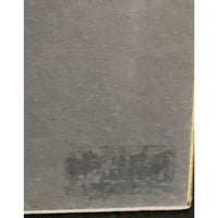 Cyndi Lauper True Colors RIAA Platinum Album Award - Record Award
