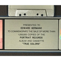 Cyndi Lauper True Colors RIAA Platinum Album Award - Record Award
