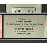 Cyndi Lauper True Colors RIAA Platinum Album Award - Record Award