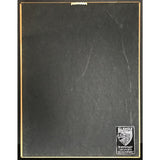 Cypress Hill IV RIAA Gold Album Award - Record Award