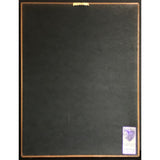 D’Angelo Brown Sugar RIAA Platinum Album Award - Record Award