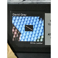 David Gray White Ladder RIAA Platinum Award - Record Award