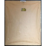 Def Leppard High ’n’ Dry RIAA Gold Album Award presented to guitarist Steve Clark - RARE - Record Award