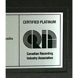 Def Leppard Pyromania CRIA Platinum Album Award - Record Award