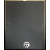 Dixie Chicks Taking The Long Way In-House Award - Record Award