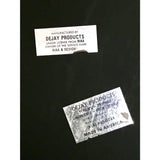 Edie Brickell & New Bohemians Shooting Rubberbands At The Stars RIAA Platinum Album Award - Record Award