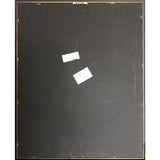 Edie Brickell & New Bohemians Shooting Rubberbands At The Stars RIAA Platinum Album Award - Record Award