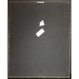 Elton John Reg Strikes Back RIAA Gold LP Award - Record Award
