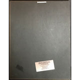 Elton John The One RIAA Platinum Album Award - Record Award