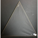 EMI Smashing Pumpkins Stones Lenny Kravitz Shaggy + Multi-Artist Combo Award - Record Award