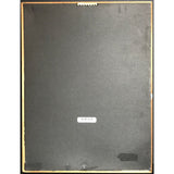 En Vogue Funky Divas RIAA 3x Multi-Platinum Album Award - Record Award