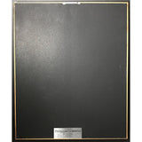 Erasure The Innocents RIAA Gold Album Award - Record Award