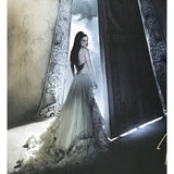 Evanescence The Open Door Poster plate-signed by group - Music Memorabilia