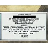 Fall Out Boy RIAA American Beauty/American Psycho Combo Album/Singles Award - Record Award