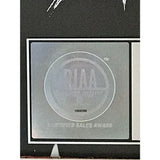 Fall Out Boy RIAA Save Rock And Roll Combo Album/Single Award - Record Award