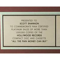 Fastball All The Pain Money Can Buy RIAA Platinum Album Award - Record Award