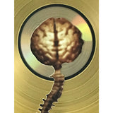 Fear Factory Obsolete RIAA Gold Album Award - Record Award