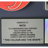 Foo Fighters The Colour And The Shape RIAA Platinum Album Award - Record Award