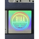 Foo Fighters The Colour And The Shape RIAA Platinum Album Award - Record Award