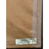 Foreigner Agent Provocateur RIAA Gold Album Award - Record Award