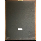 Foreigner Records RIAA Gold Album Award - Record Award